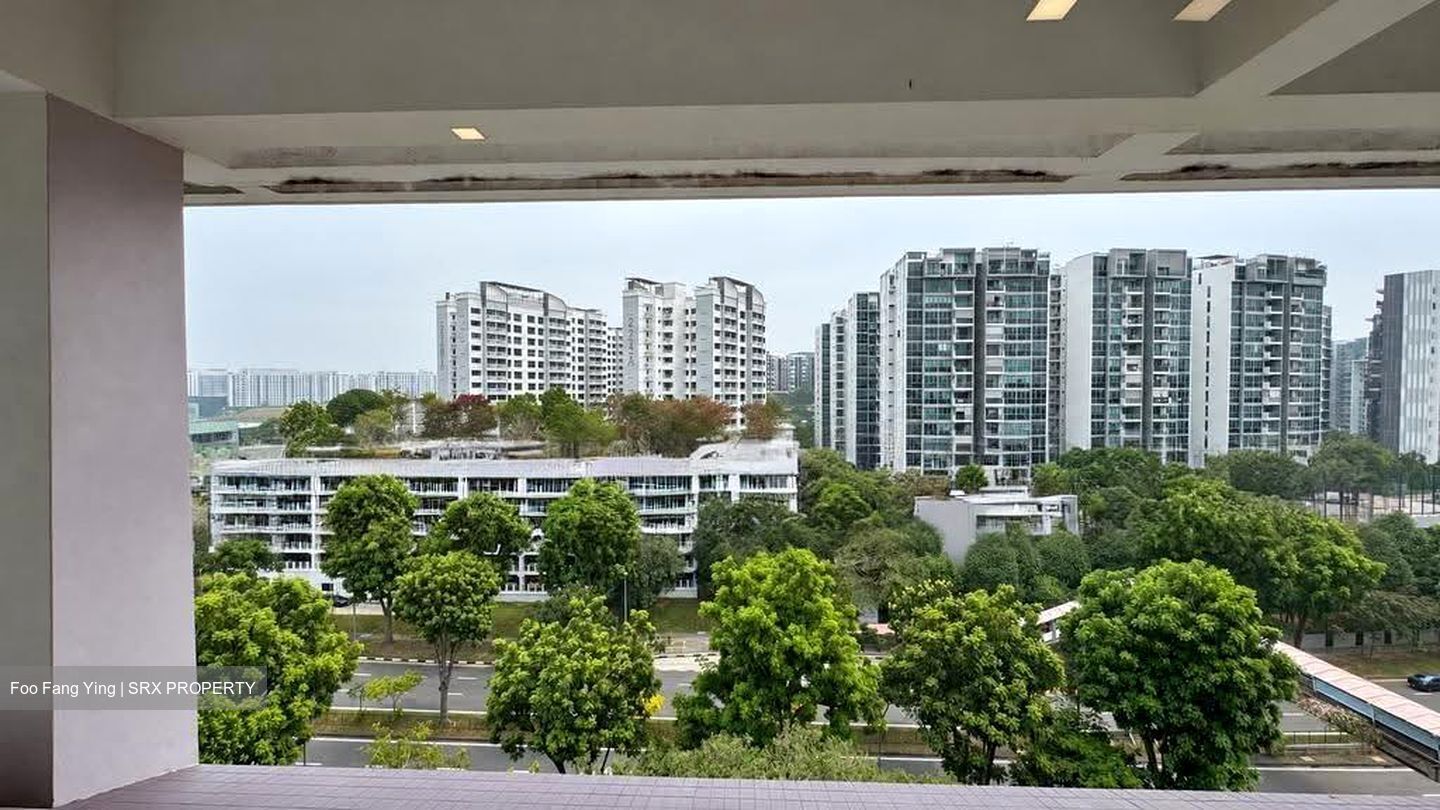 Blk 558 Hougang Street 51 (Hougang), HDB Executive #631540441